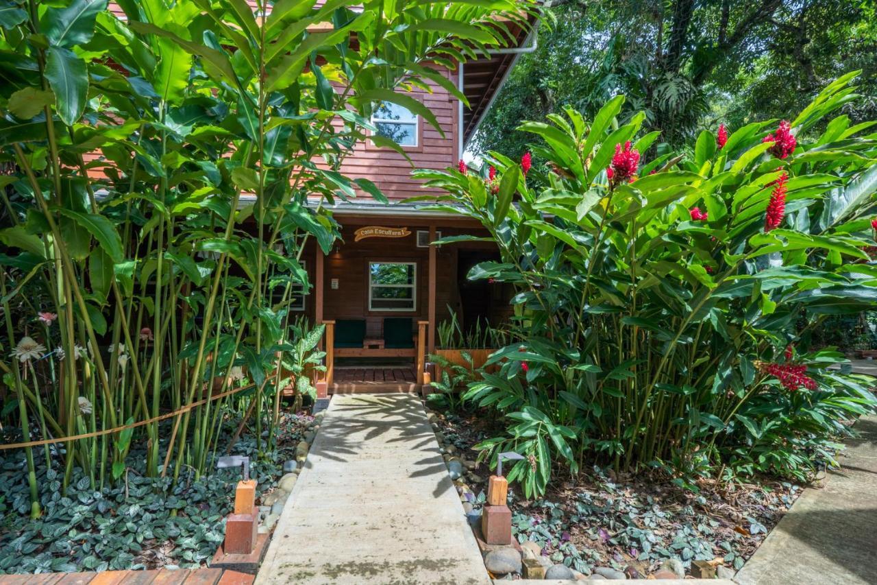 Tropicalarts Resort&Studios Bocas del Toro Exterior photo