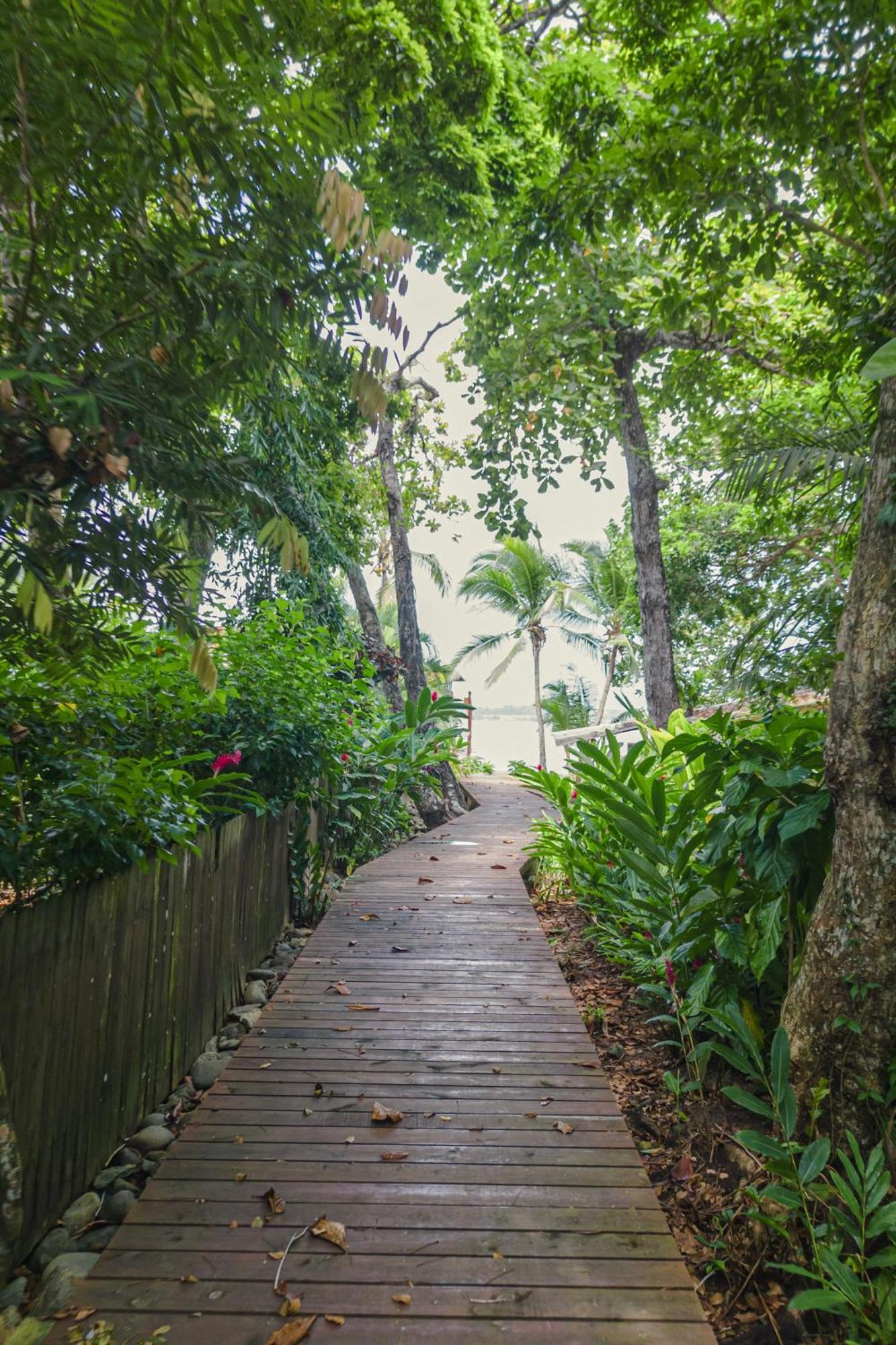 Tropicalarts Resort&Studios Bocas del Toro Exterior photo