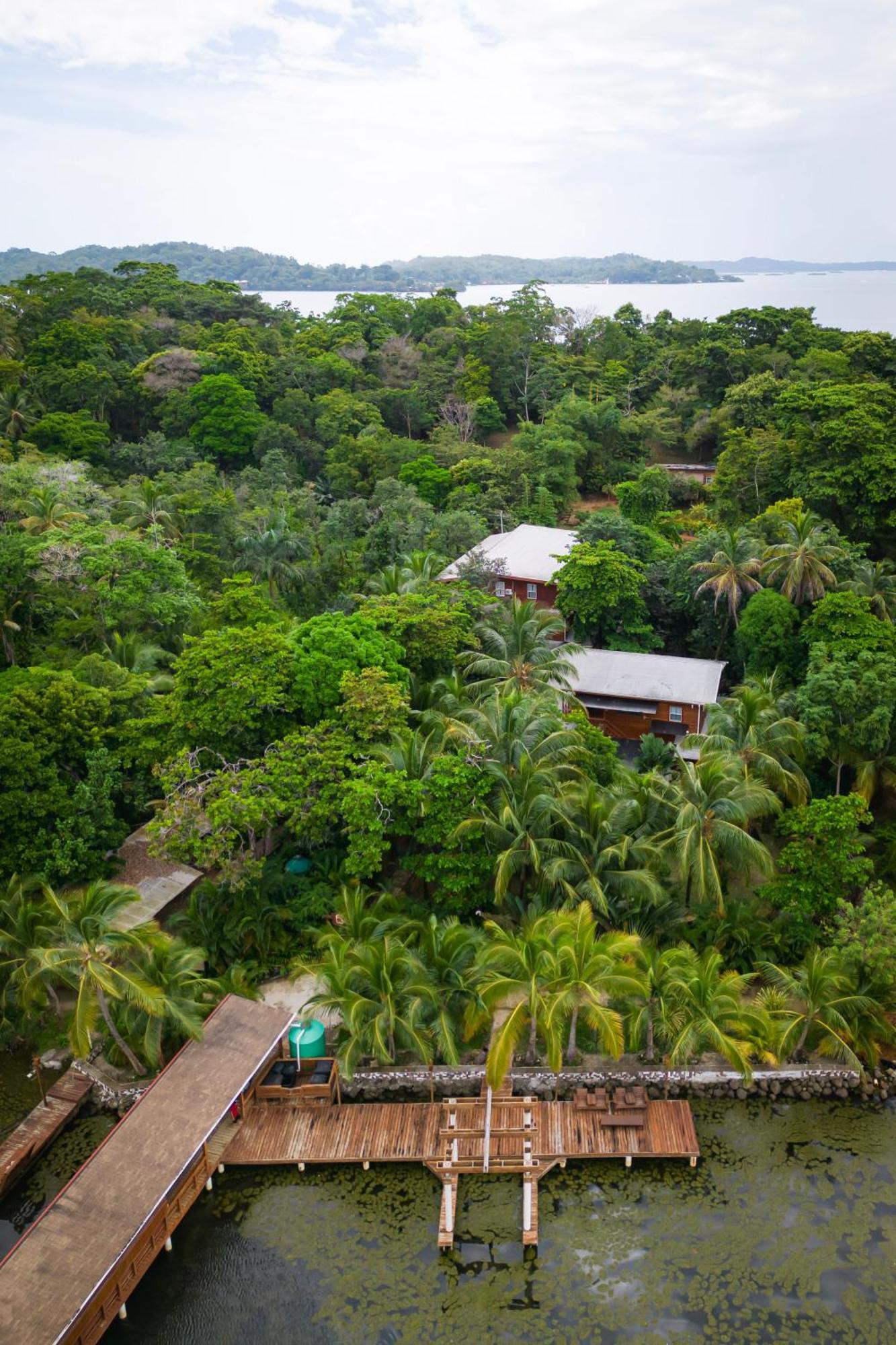 Tropicalarts Resort&Studios Bocas del Toro Exterior photo