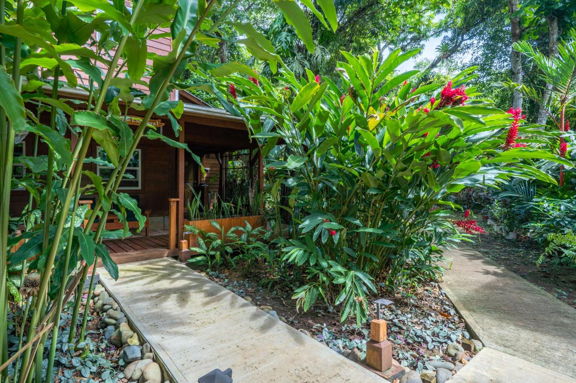 Tropicalarts Resort&Studios Bocas del Toro Exterior photo